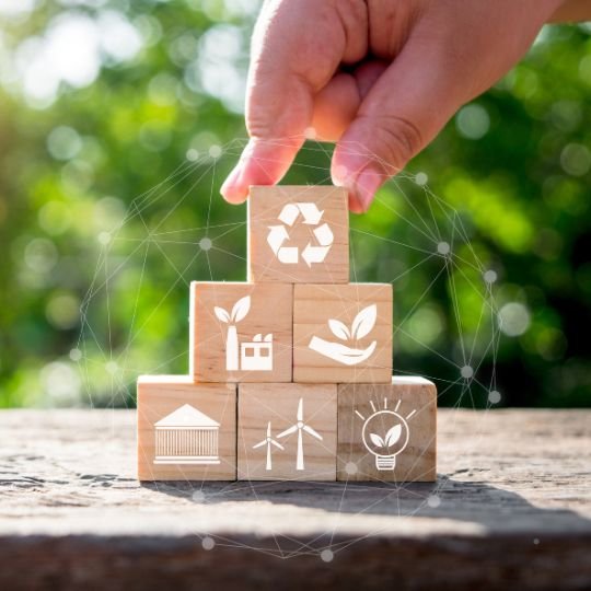 Custom ESG Frameworks